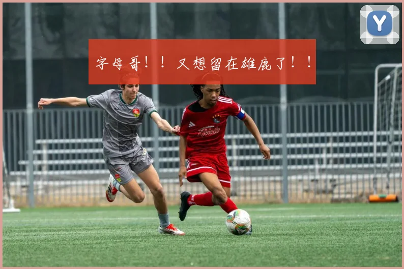 字母哥！！又想留在雄鹿了！！